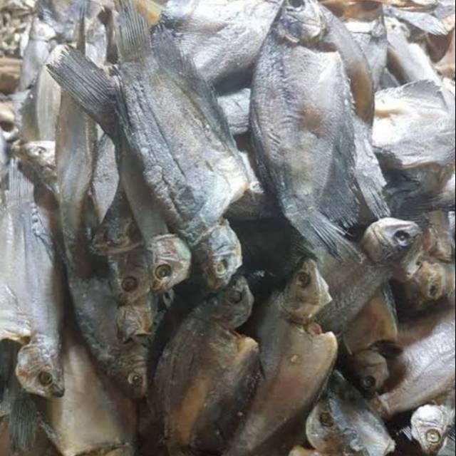 Jual Ikan Sepat Kecil Gr Shopee Indonesia