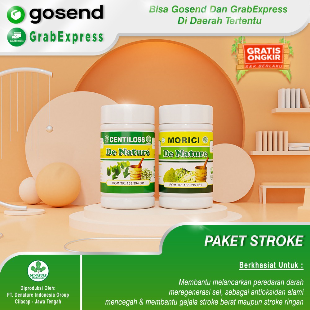 Jual Obat Struk Stroke Lumpuh Ringan Obat Terlaris Produk De Nature