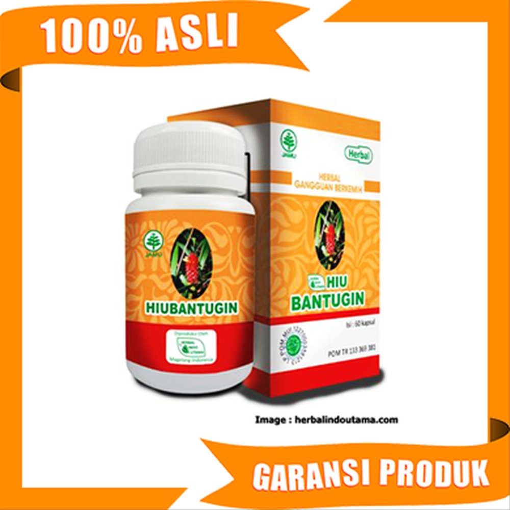 Jual Obat Batu Ginjal Kapsul Hiubantugin 100 Herbal Obat Luruh Batu