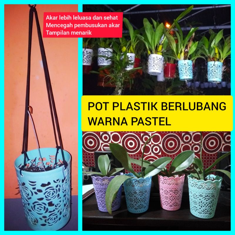 Jual Paket Pot Media Tanam Pot Gantung Anggrek Warna Putih Dan Warna