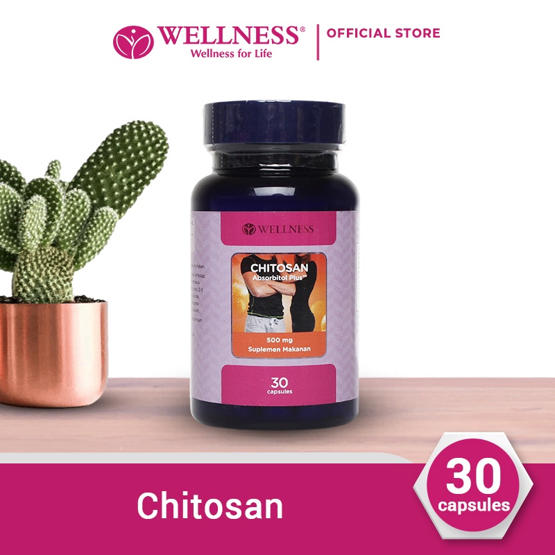 Jual Wellness Chitosan 500mg 30 Capsules Shopee Indonesia