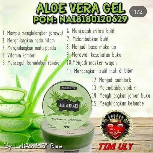 Jual MSI Aloe Vera Moisture Sooting Gel Shopee Indonesia