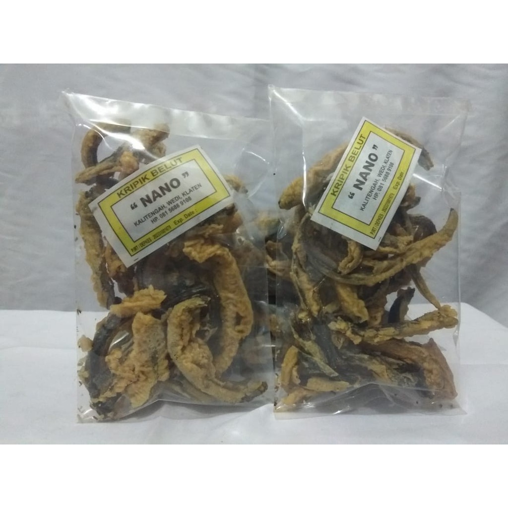 Jual Aneka Snack Keripik Belut Nano Kemasan Gram Kripik Welut