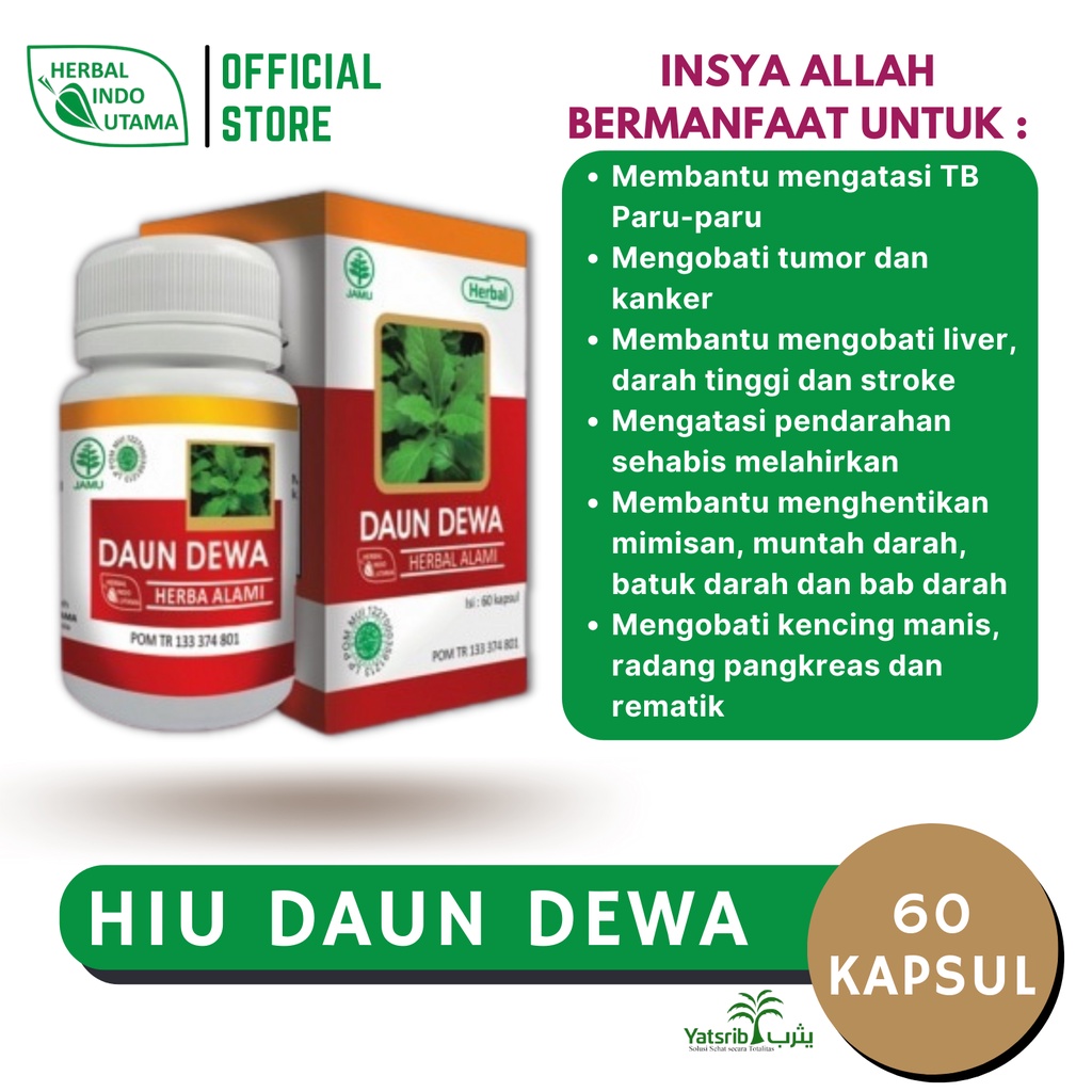 Jual HIU DAUN DEWA Isi 60 Kapsul Daun DEWA Herbal Indo Utama Asli