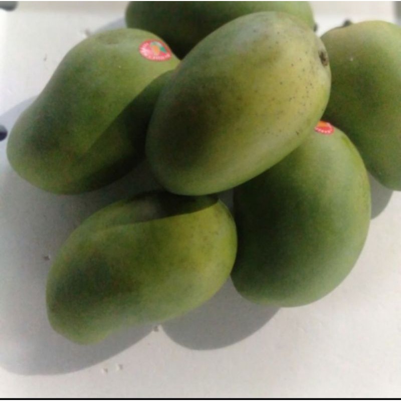 Jual Buah Mangga Harum Manis Asli Indramayu 1 Kg Shopee Indonesia