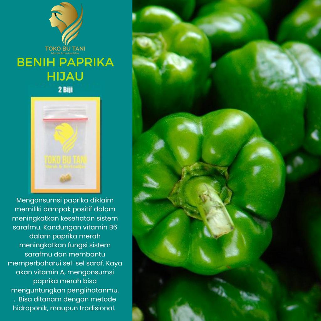 Jual Bibit Sayuran Benih Sayur Sayuran Paket Lengkap Tanaman Hidroponik