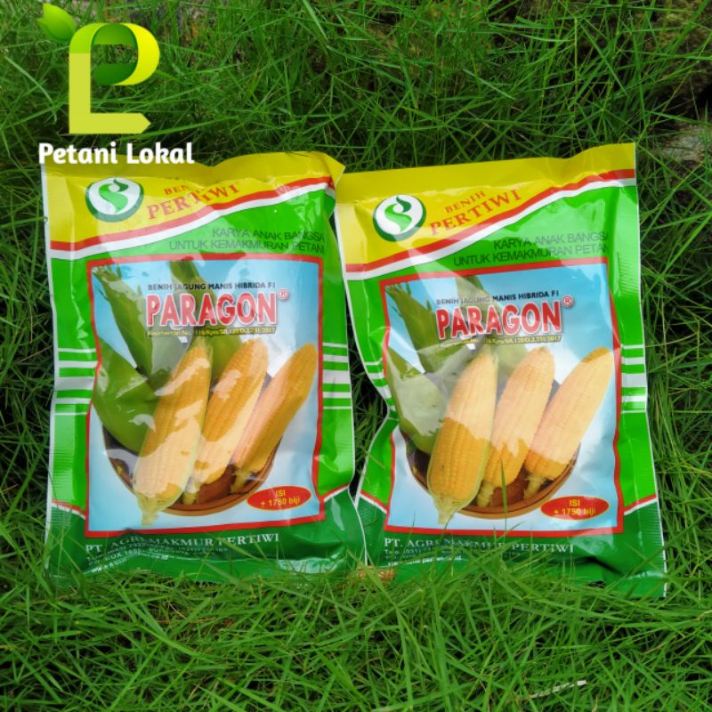 Jual Benih Jagung Manis Hibrida F1 Paragon Isi 250 Gram Shopee Indonesia