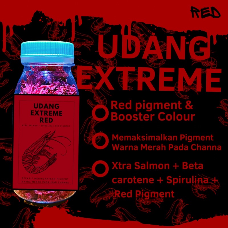 Jual UDANG KERING EXTREME RED BLUE YELLOW PAKAN IKAN CHANNA MARU YELLOW