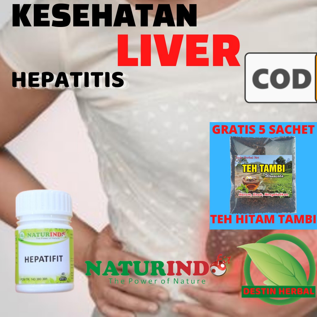 Jual Hepatifit Obat Herbal Liver Hepatitis B Kapsul Naturindo Bisa Cod