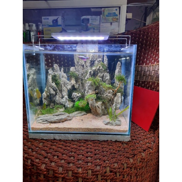 Jual Hardscape Aquascape Batu Pasir Untuk Ukuran Aquarium 30cm Bonus