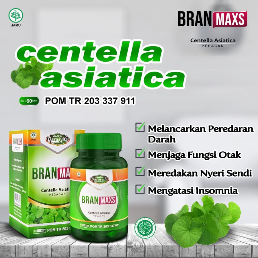 Jual Centella Asiatica Pegagan Extra Kapsul Brain Maxs Centella