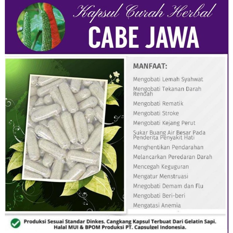 Jual Cabe Jawa Kapsul Curah Herbal Shopee Indonesia