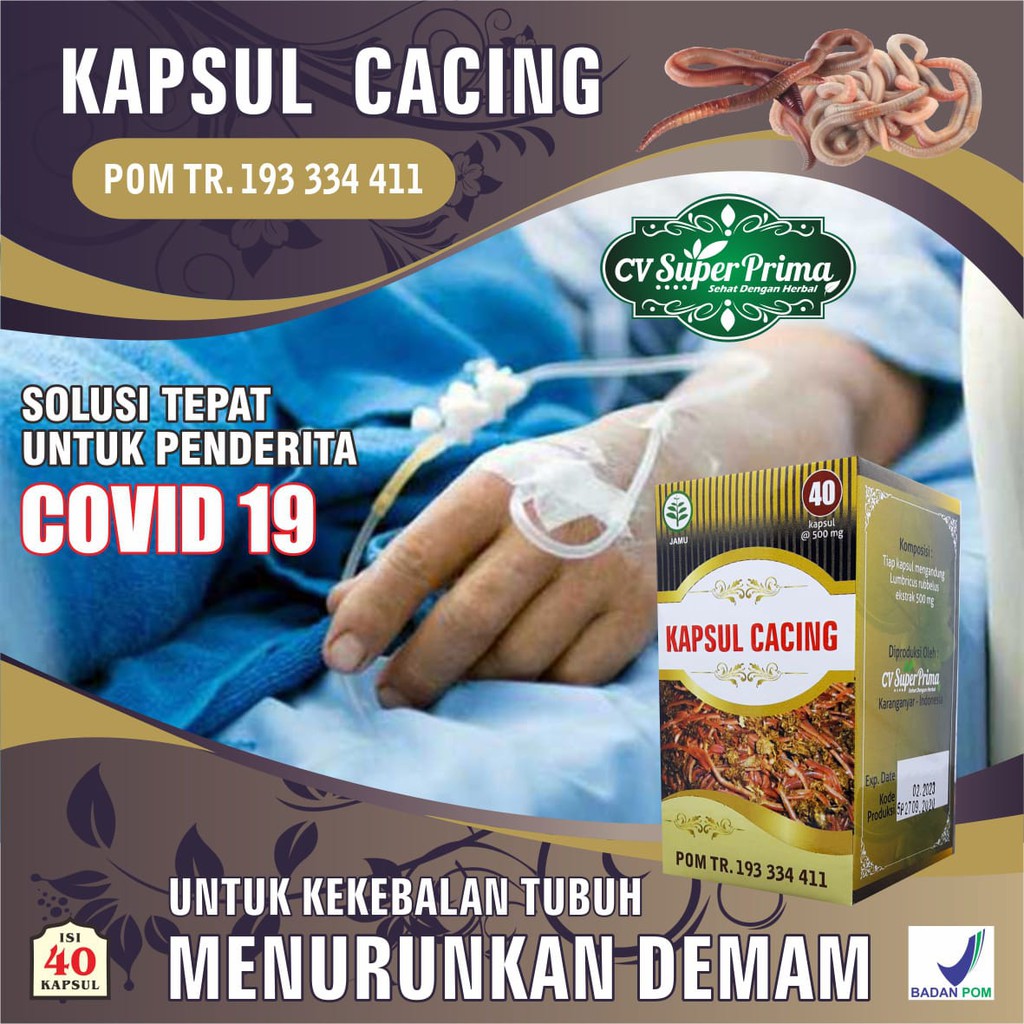 Jual KAPSUL CACING Lumbricus SUPER PRIMA Sejenis Vermint Obat Demam Dbd