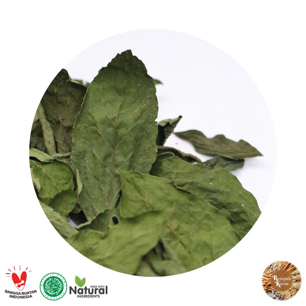 Jual Daun Sambung Nyawa Kering Gynura Procumbens Teh Herbal Gram