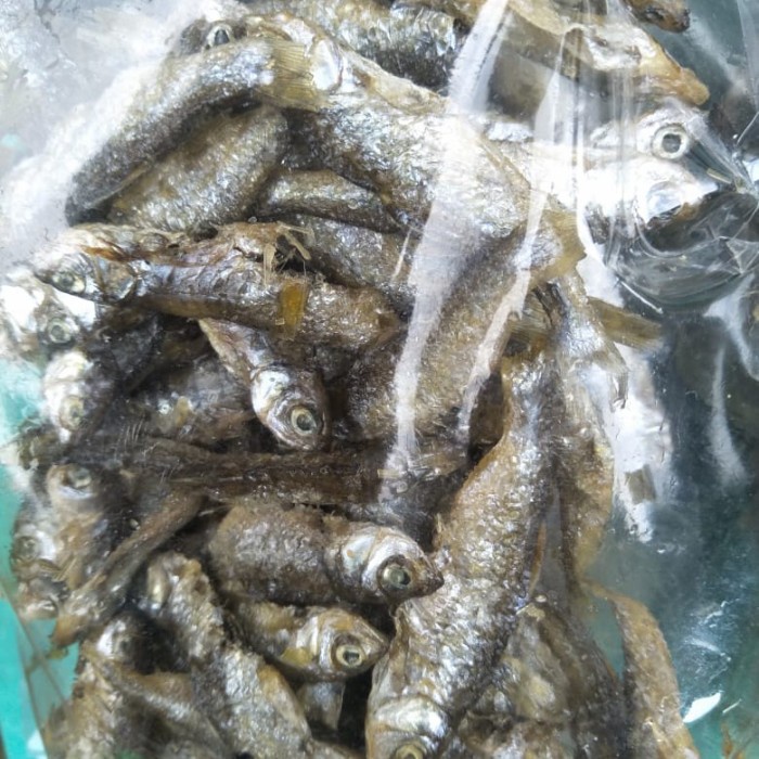 Jual Ikan Bilih Bilis Asli Danau Singkarak Ikan Bilih Padang Shopee