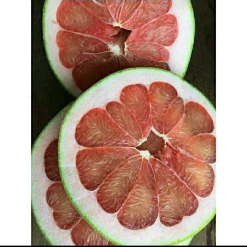 Jual Jeruk Bali Pamelo Pomelo Jeruk Bali Madu Manis Dan Segar