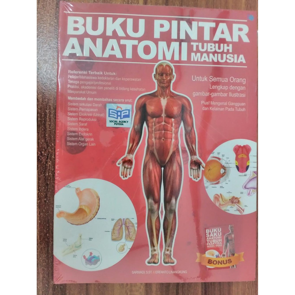 Jual Buku Buku Pintar Anatomi Tubuh Manusia Sarwadi Dan Erfanto L Rz