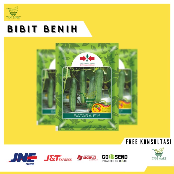 Jual Benih Bibit Timun Varietas BATARA F1 Kemasan Original Shopee