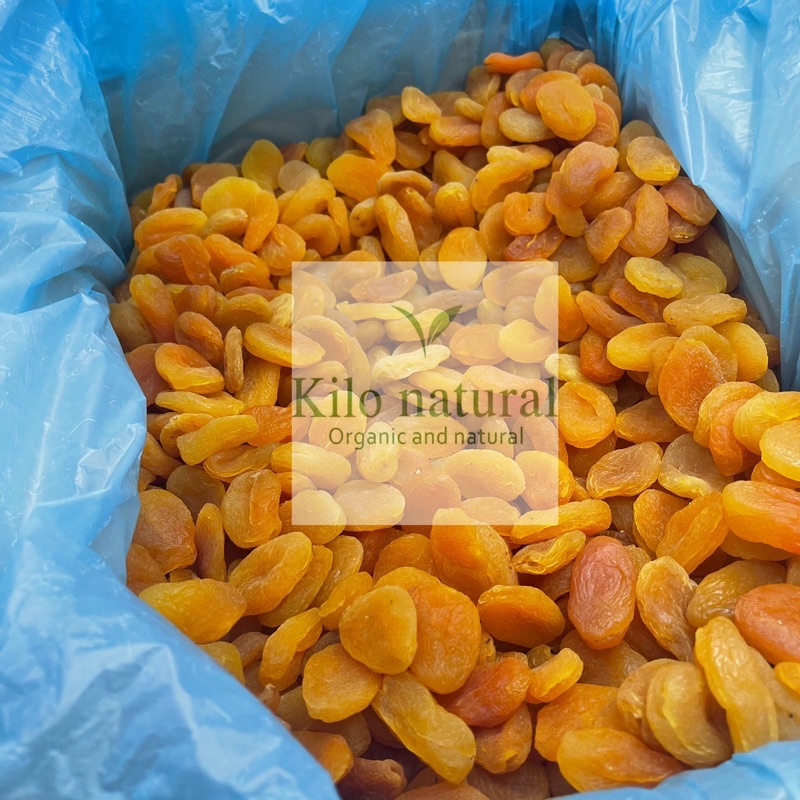 Jual Dried Apricot Kg Apricot Kering Kg Shopee Indonesia