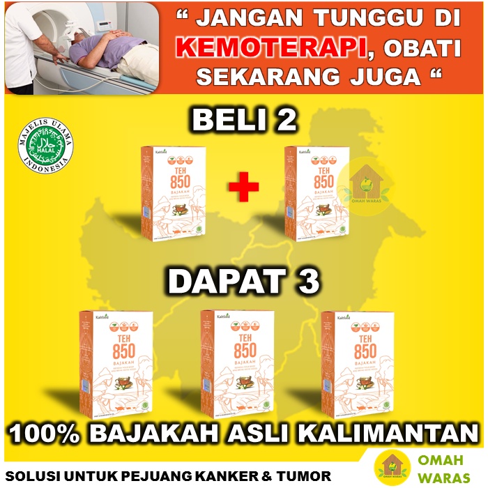 Jual TEH CELUP BAJAKAH AKAR BAJAKAH KAYU BAJAKA ASLI KALIMANTAN OBAT