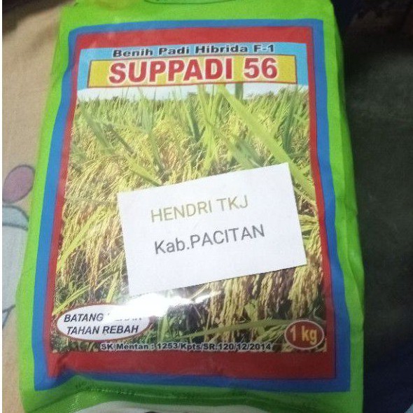 Jual Benih Padi Hibrida Suppadi Kg Shopee Indonesia