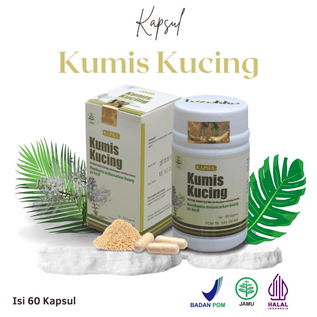 Jual Tanaman Obat Infeksi Saluran Kemih Herbal Batu Ginjal Kapsul Kumis