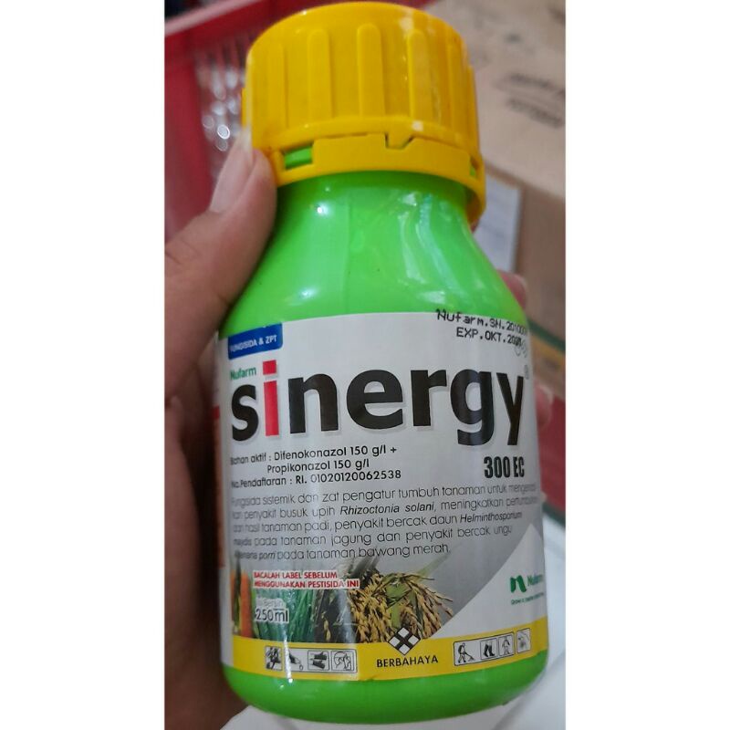 Jual SINERGY 300 EC FUNGISIDA ZPT Difenokonazol Profikanazol