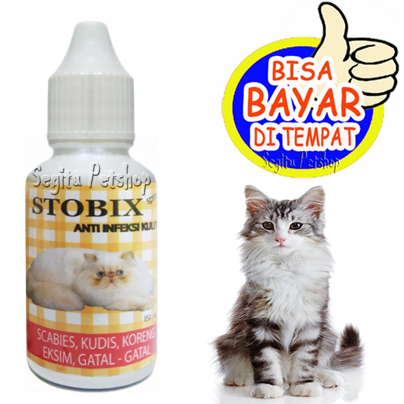 Jual Obat Kucing Jamur Korengan Scabies Luka Oles Stobix Ml Shopee