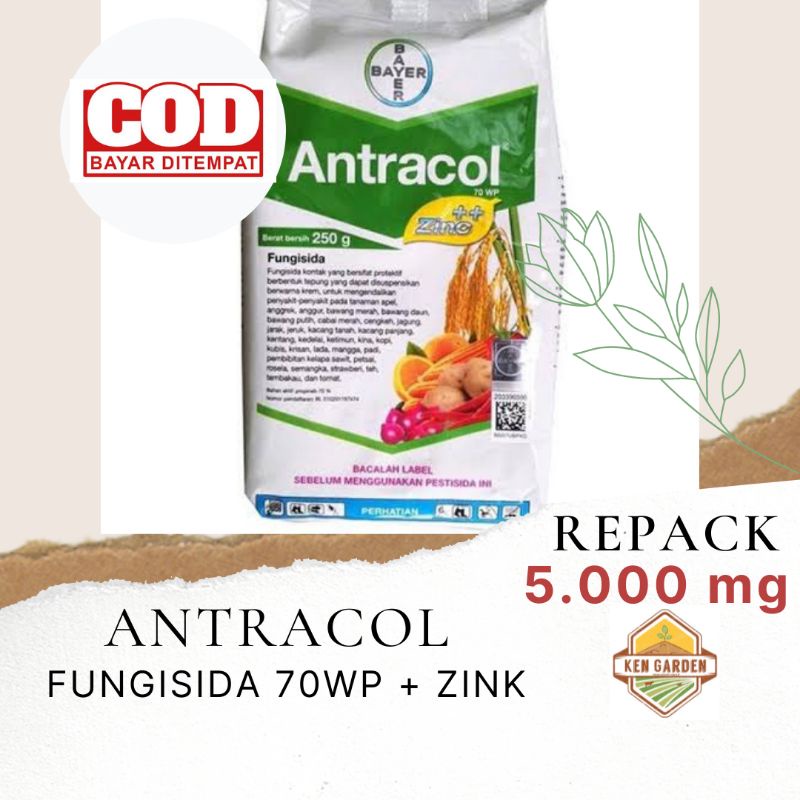 Jual Antracol 70wp Zink Fungisida Fungisida Sistemik Pembasmi Hama