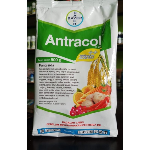 Jual Fungisida Antracol 70 WP 500 Gr Shopee Indonesia