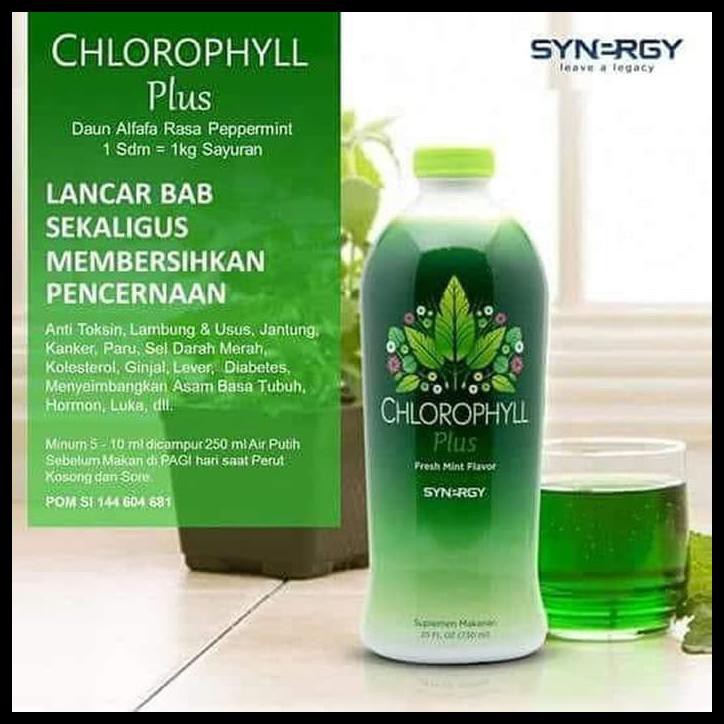 Jual Paket Obat Herbal Penderita Anemia Klorofil Spirulina Synergy