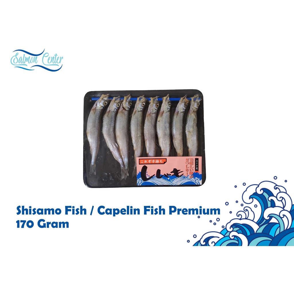 Jual Shisamo Fish Capelin Fish Premium Shopee Indonesia