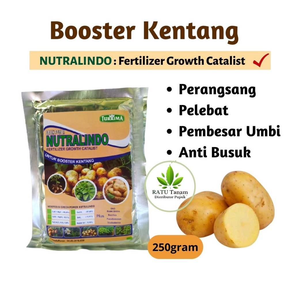 Jual Pupuk Booster Organik Kentang Pupuk Perangsang Akar Pembesar Umbi