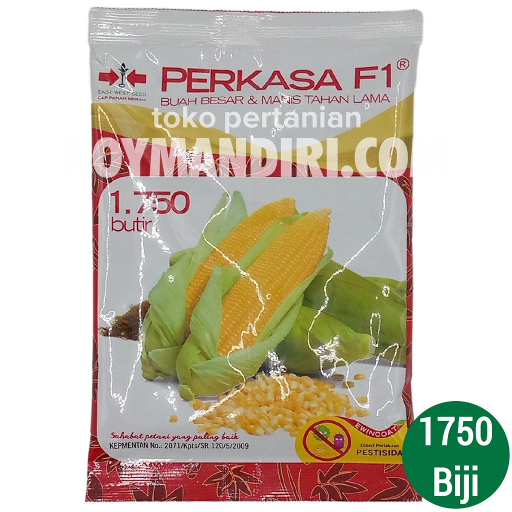 Jual BENIH JAGUNG MANIS PERKASA F1 1750 BUTIR Shopee Indonesia