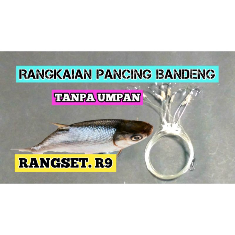 Jual Rangkaian Mancing Ikan Bandeng Rangset Shopee Indonesia