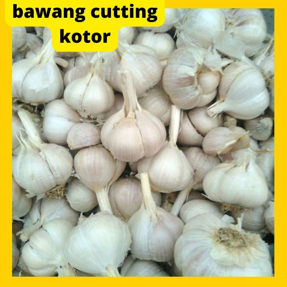 Jual Bawang Putih Kating Cutting Royal Kg Bawang Putih Kg Royal Honan