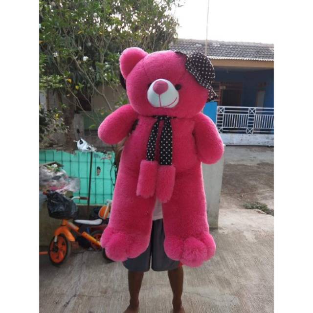 Jual Boneka Beruang Besar Jumbo Teddy Bear Topi Syal Shopee Indonesia