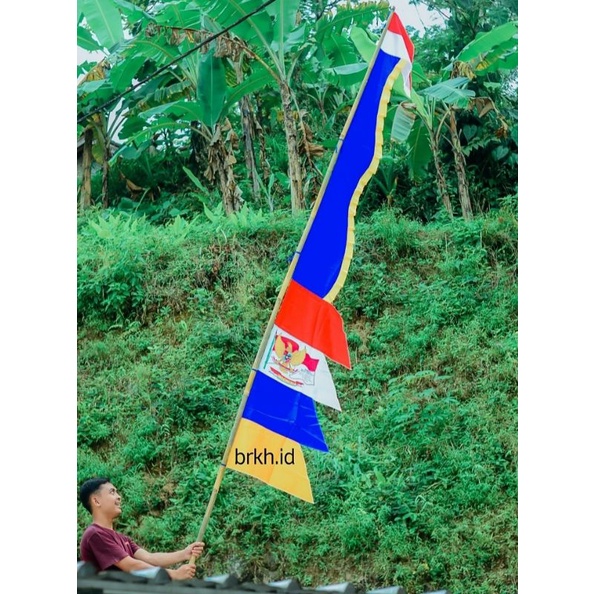 Jual UMBUL UMBUL KERIS KUDA LAUT WARNA WARNI BENDERA MERAH PUTIH