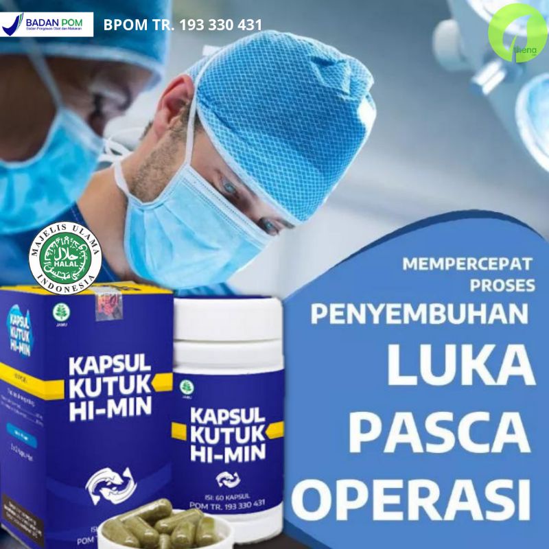 Jual Kapsul Kutuk Hi Min Premium Ekstrak Albumin Ikan Gabus Obat