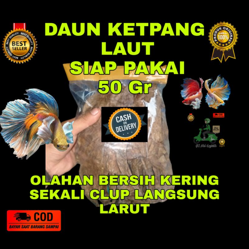 Jual Daun Ketapang Laut Olahan Fermentasi Siap Pakai Shopee Indonesia