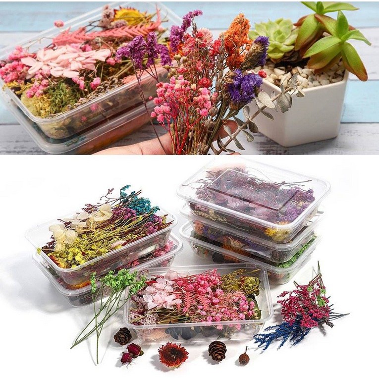 Jual Bunga Kering Asli Box Real Dry Flowers Untuk Isian Resin Epoxy