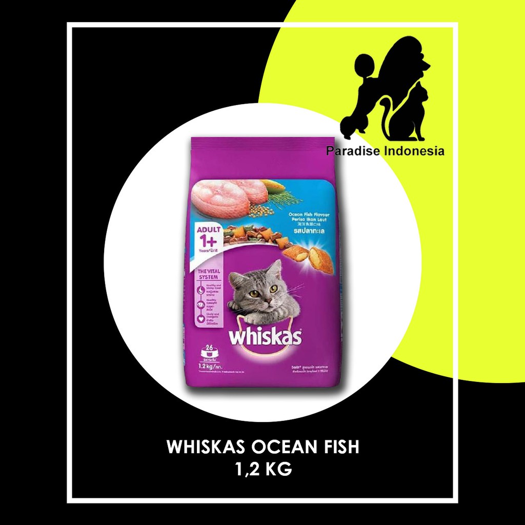 Jual Whiskas Ocean Fish 1 2kg Dry Cat Food Adult Shopee Indonesia