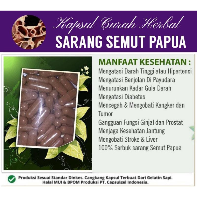 Jual Sarang Semut Papua Kapsul Curah Herbal Shopee Indonesia