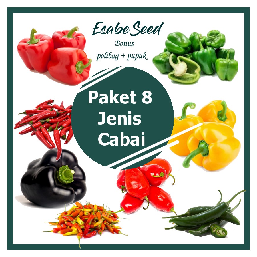 Jual Bibit Benih Paket Cabe Cabean Jenis Cabai Hidroponik