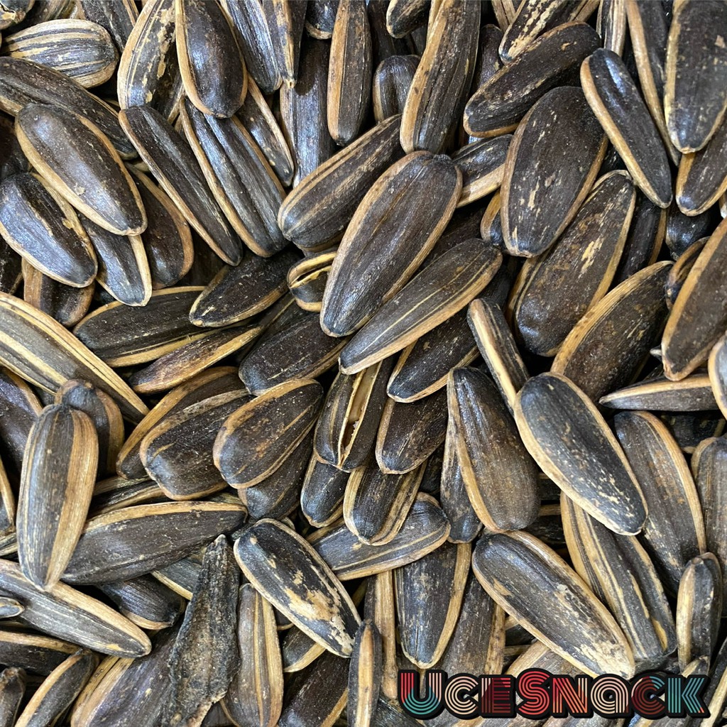 Jual KUACI MATAHARI KWACI BIJI BUNGA MATAHARI SUNFLOWER SEED 1 2KG