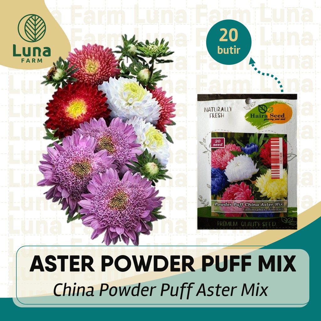 Jual Benih Aster Powder Puff China Mix Haira Seed Kemasan Urban Isi