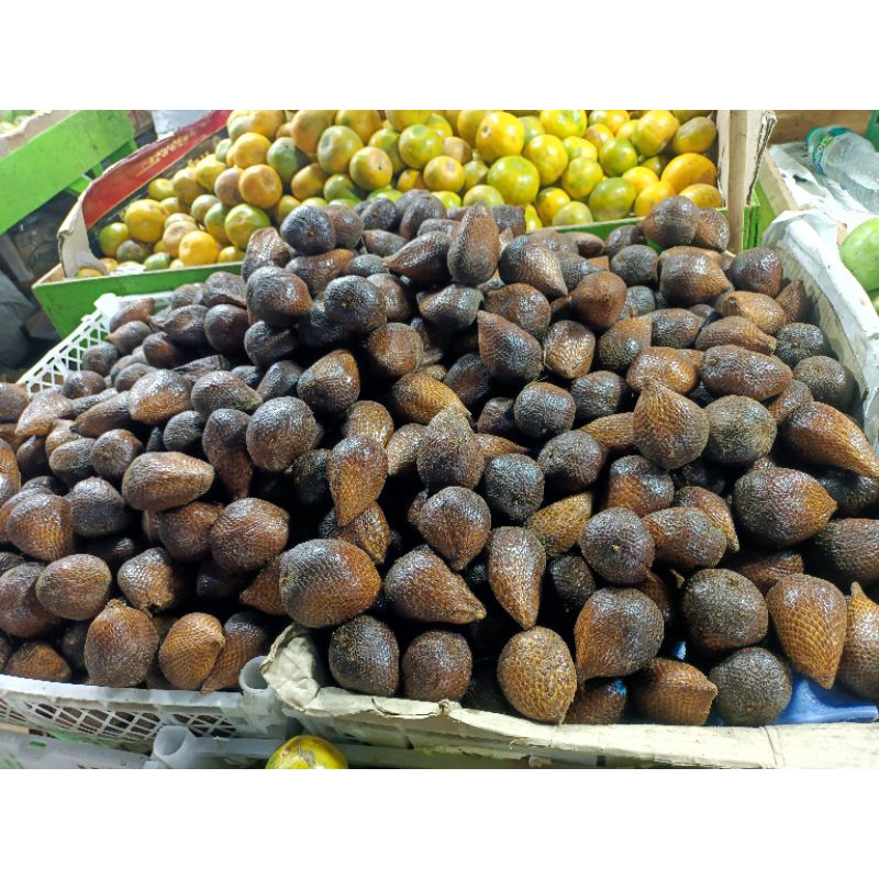 Jual Salak Pondoh Kg Fresh Segar Manis Shopee Indonesia