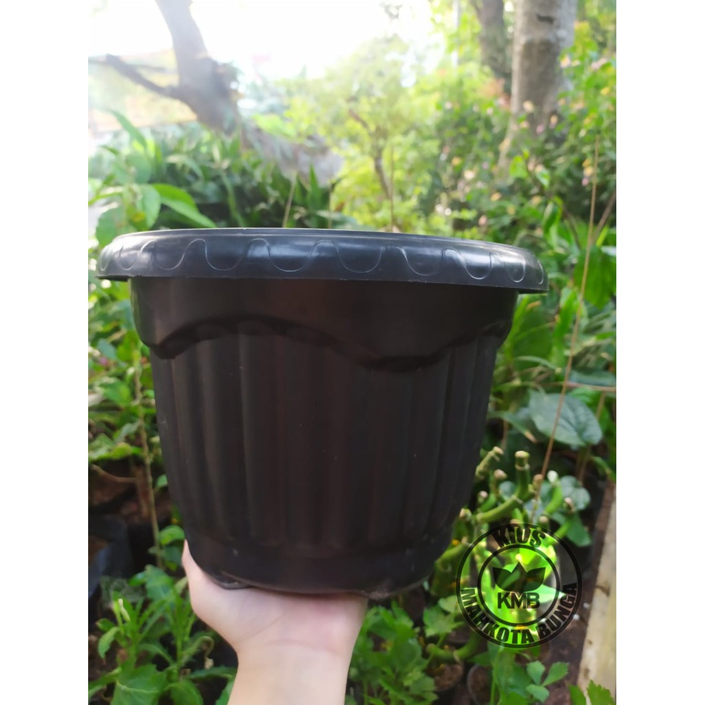 Jual Pot Plastik Hitam Nkh Pot Bunga Plastik Hitam Simba Rm