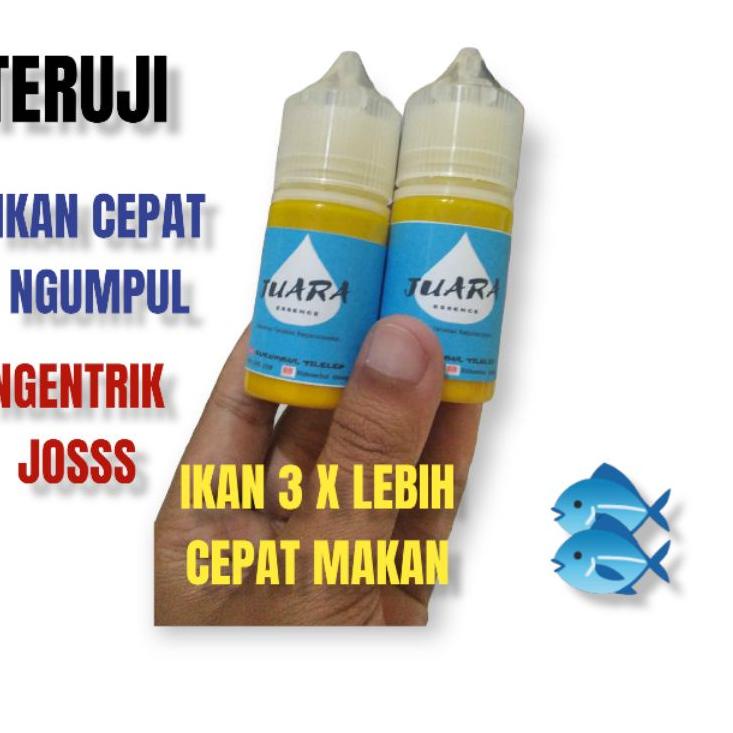 Jual Penjualan Terbanyak Essen Ikan Mas Paling Bagus Essen Juara