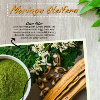 Jual MINUMAN HERBAL EKSTRAK DAUN KELOR UNTUK GINJAL ANEMIA MENJAGA